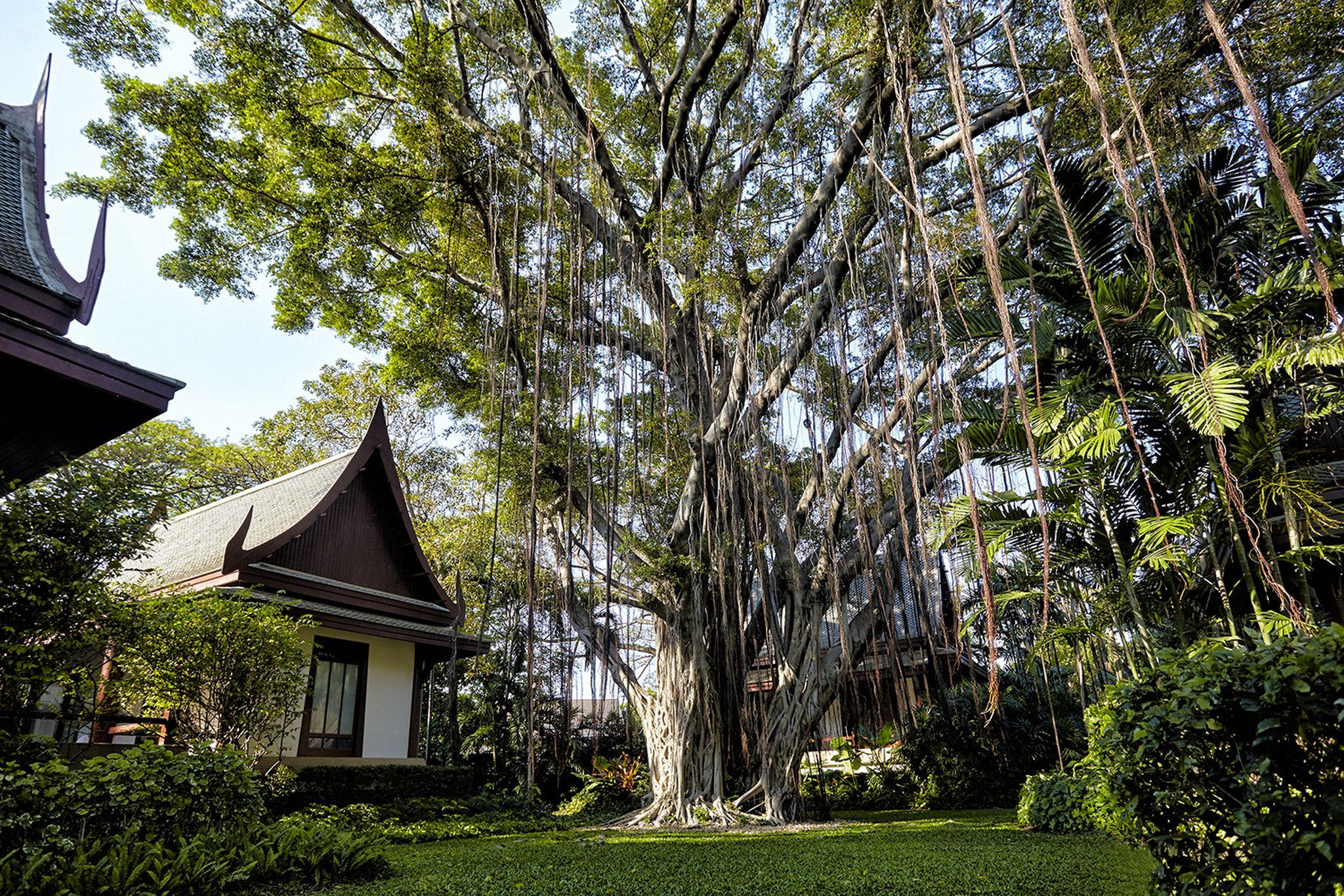 Chiva-Som International Health Resorts HHQ Esterno foto